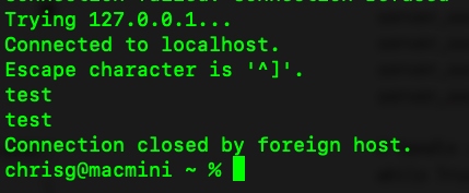 Testing our simple TCP echo server